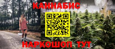 jwh Новозыбков