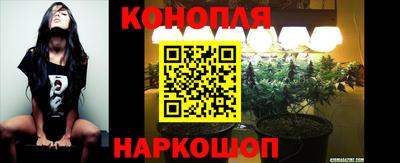 PSILOCYBIN Обнинск