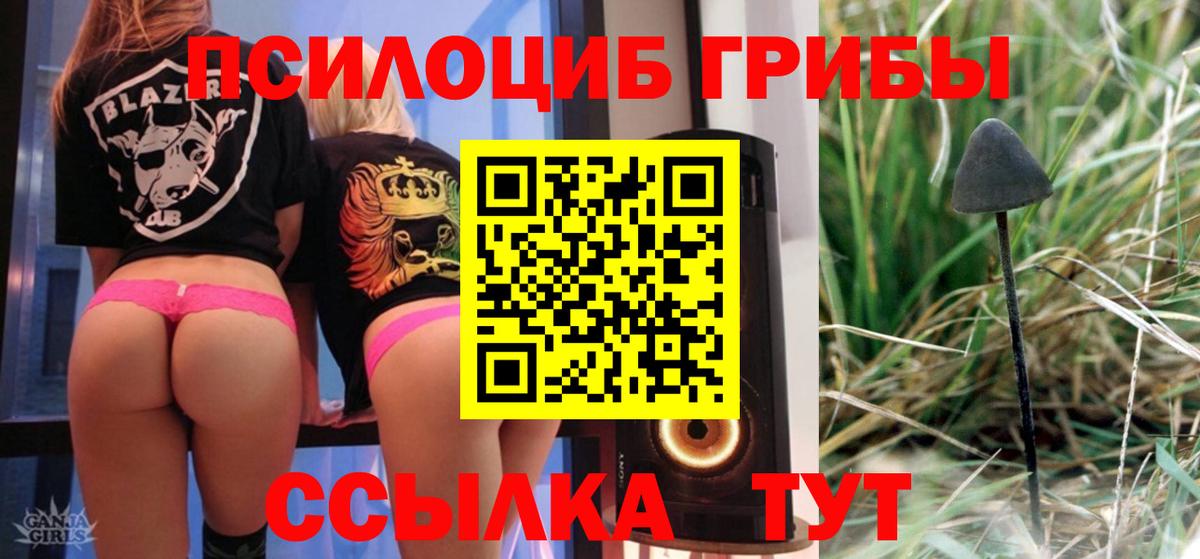 Псилоцибиновые грибы ЛСД  Вход с VPN  Солнечногорск 